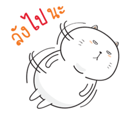 Sumo Fat Cat sticker #14113184