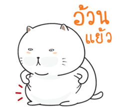 Sumo Fat Cat sticker #14113196