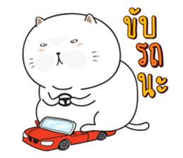 Sumo Fat Cat sticker #14113197