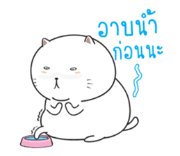 Sumo Fat Cat sticker #14113208