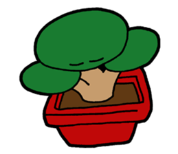 bonsai02 (English language) sticker #14113514