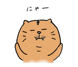Realizing cats sticker #14114422