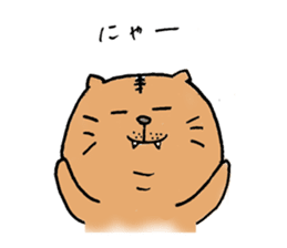 Realizing cats sticker #14114422