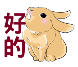 Royal college of rabbit Bunny life sticker #14115862