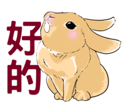 Royal college of rabbit Bunny life sticker #14115862