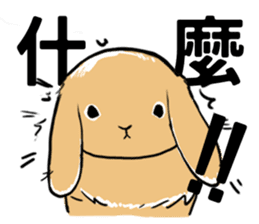Royal college of rabbit Bunny life sticker #14115863