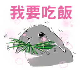 Royal college of rabbit Bunny life sticker #14115866