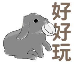 Royal college of rabbit Bunny life sticker #14115867