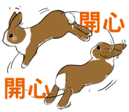 Royal college of rabbit Bunny life sticker #14115868