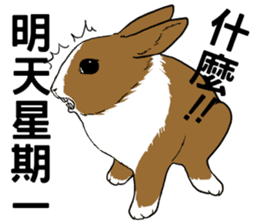 Royal college of rabbit Bunny life sticker #14115869