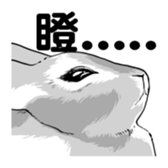 Royal college of rabbit Bunny life sticker #14115875