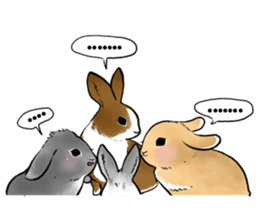 Royal college of rabbit Bunny life sticker #14115876