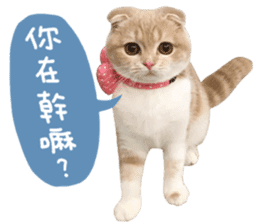 Hello! la-cha-hua's cat sticker #14116201