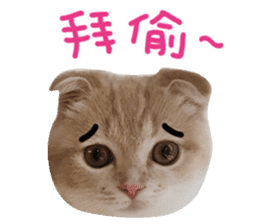 Hello! la-cha-hua's cat sticker #14116206
