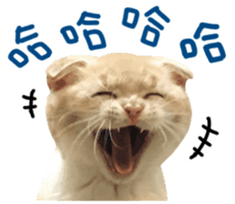 Hello! la-cha-hua's cat sticker #14116211