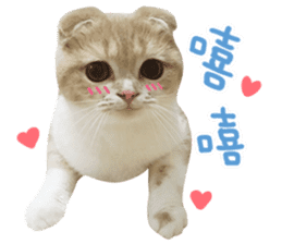 Hello! la-cha-hua's cat sticker #14116213