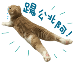 Hello! la-cha-hua's cat sticker #14116214