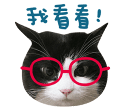 Hello! la-cha-hua's cat sticker #14116215