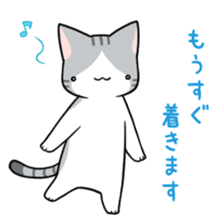 Mr. drunkard cat sticker #14118138