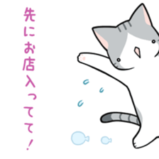 Mr. drunkard cat sticker #14118143