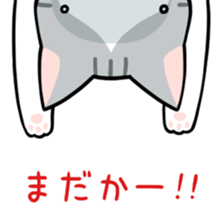 Mr. drunkard cat sticker #14118145