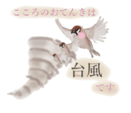 Sparrow Weather Report Girl sticker #14120514