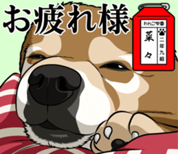 Wanko school(PART1) sticker #14120705