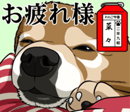 Wanko school(PART1) sticker #14120705