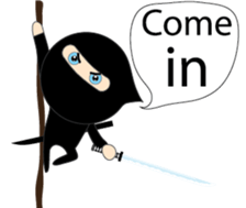 Ninja boy(En) sticker #14120958