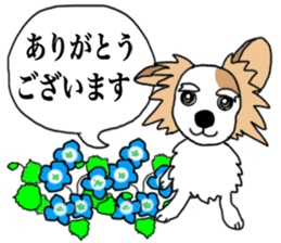 REO The Papillon sticker #14122367