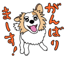 REO The Papillon sticker #14122368