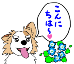 REO The Papillon sticker #14122369