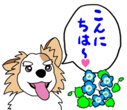 REO The Papillon sticker #14122369