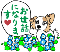 REO The Papillon sticker #14122370