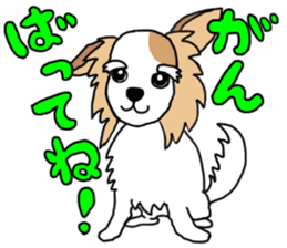 REO The Papillon sticker #14122371