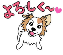 REO The Papillon sticker #14122373