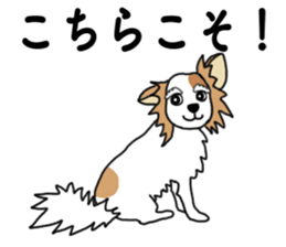 REO The Papillon sticker #14122374