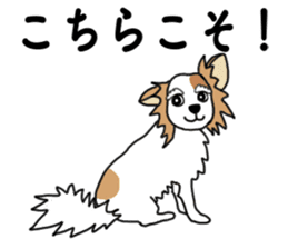 REO The Papillon sticker #14122374
