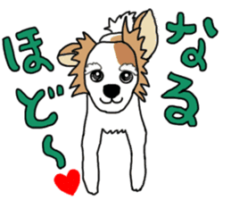 REO The Papillon sticker #14122375