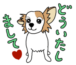 REO The Papillon sticker #14122377