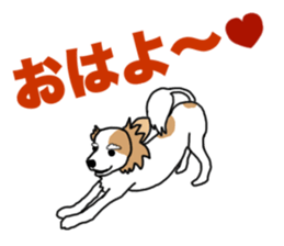 REO The Papillon sticker #14122378