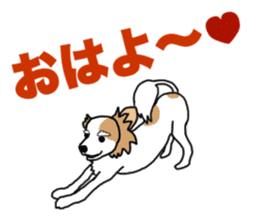 REO The Papillon sticker #14122378