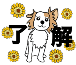 REO The Papillon sticker #14122381