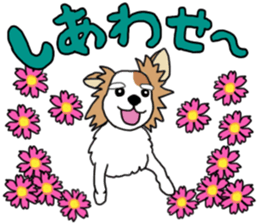 REO The Papillon sticker #14122384