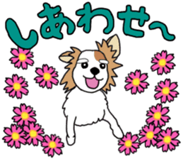 REO The Papillon sticker #14122384