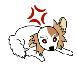 REO The Papillon sticker #14122392