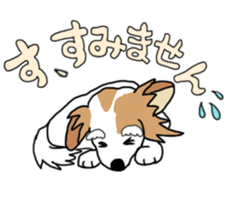 REO The Papillon sticker #14122397