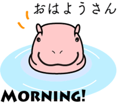 baby hippo sticker #14122734