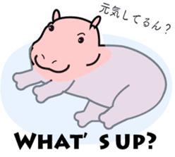 baby hippo sticker #14122738