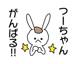 Name sticker Tsu-chan can be used sticker #14123024